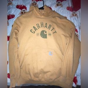 Mens Carhartt Original Fit Hoodie